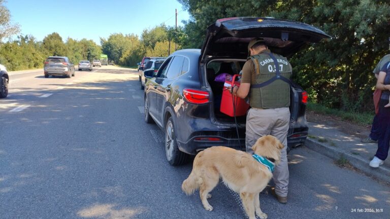 Más de medio kilo de marihuana incautó OS7 de Carabineros en control vehicular