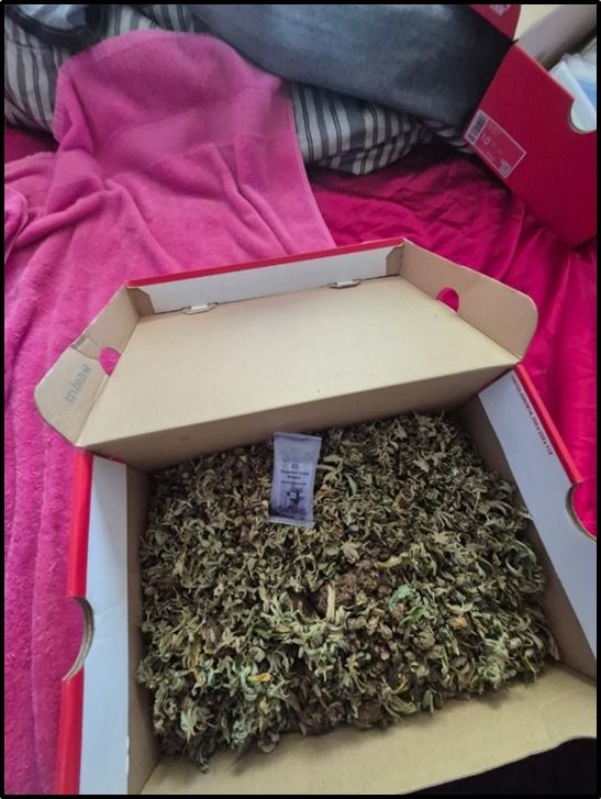 Prisión preventiva para imputado detenido con 4 kilos de cannabis y arma a fogueo