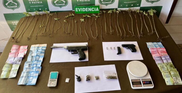 3 detenidos por microtráfico y cultivo de drogas en Valdivia