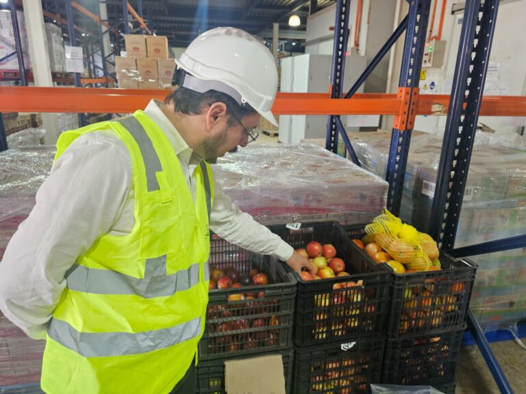 Vuelta a clases 2026: Los Ríos prepara ingreso de más de 77 mil estudiantes