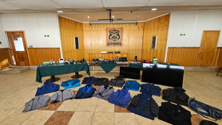 Por su participación en diferentes robos en Valdivia, Carabineros SIP detuvo a adolescente