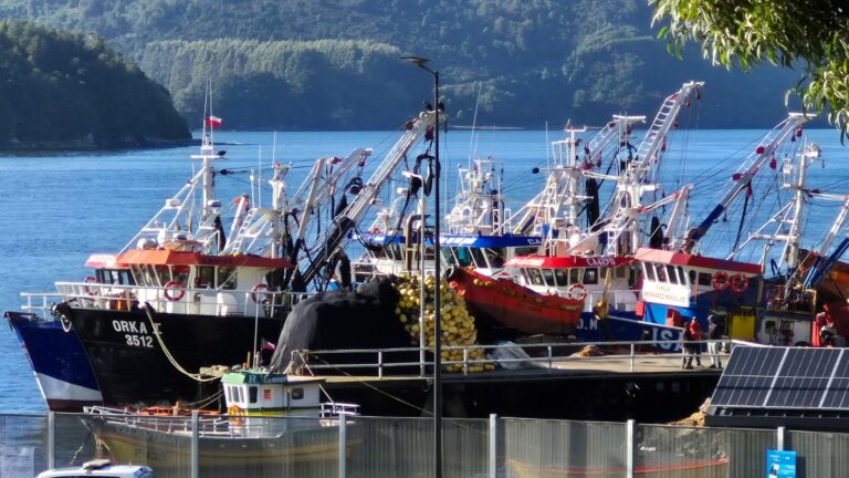 Pescadores artesanales de Los Ríos logran acuerdo histórico para distribuir nueva cuota de sardina y anchoveta