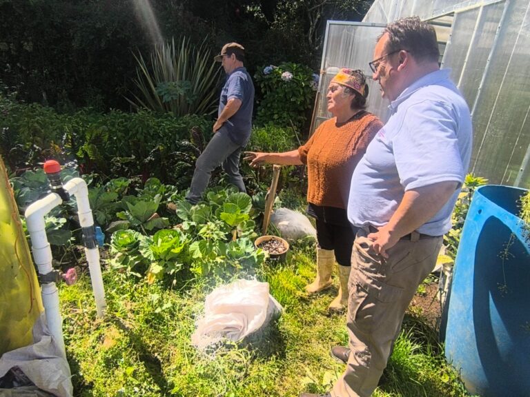 Pequeña agricultora valora sistema de riego por goteo que mejora su productividad