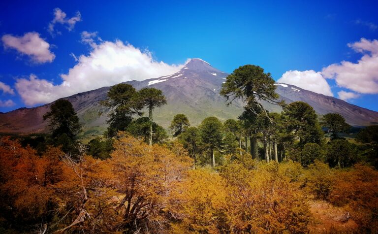 Fiscalía de Los Ríos dirige investigación por la desaparición de dos hombres en el Parque Nacional Villarrica