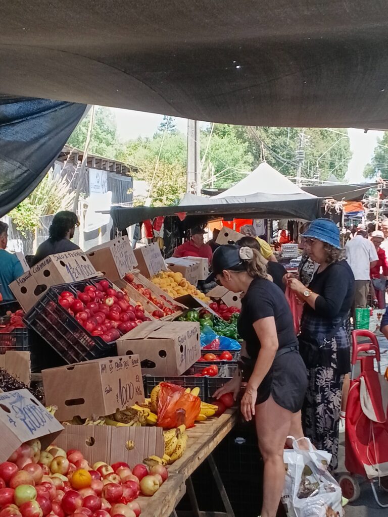 Feria Libre de Valdivia: corazón de la soberanía alimentaria