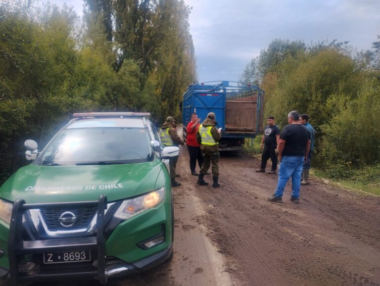 Patrulla de Intervención Rural y Forestal realiza intensos controles en La Unión y Río Bueno