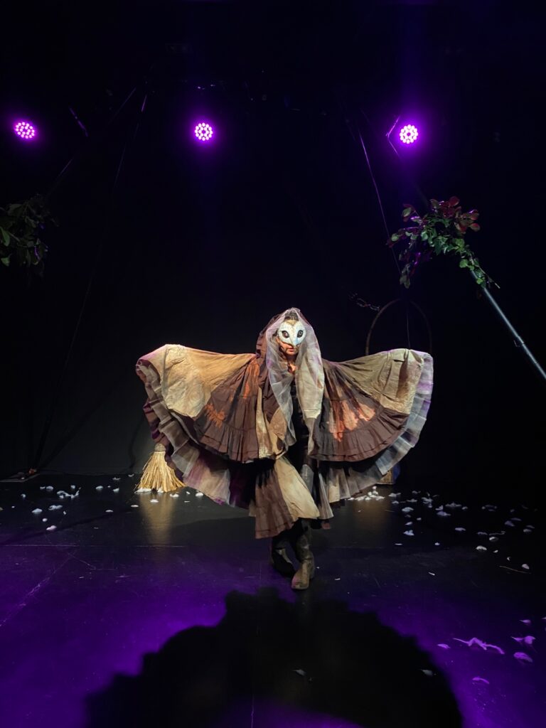 Wirivilü, Ser de Agua: circo-teatro llega al Teatro Regional Cervantes para celebrar el Día del Teatro