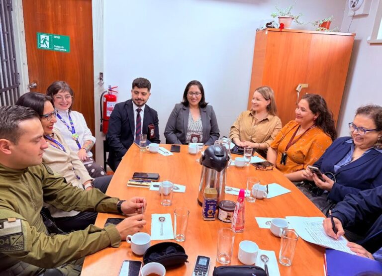 Subcomisión de Coordinación Intersectorial de Femicidios de Los Ríos realiza su primera sesión del año 2026 