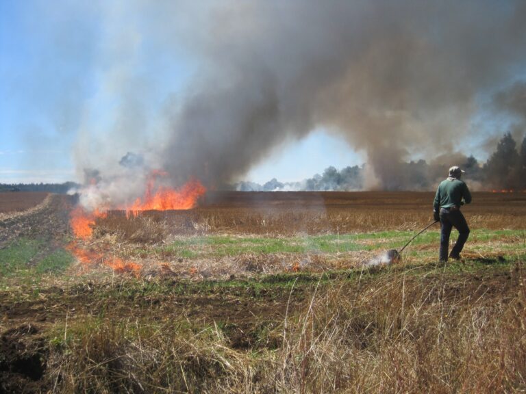 CONAF actualiza calendario de quemas controladas y balance de incendios forestales en la región de Los Ríos
