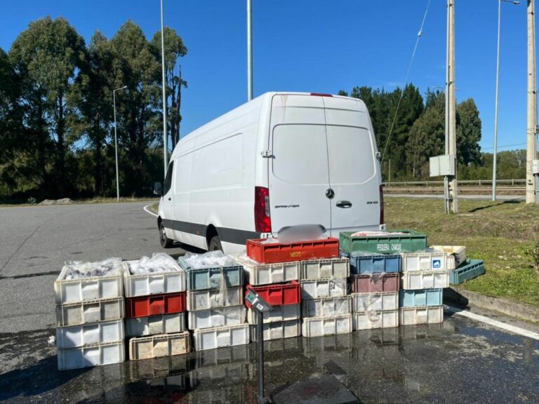 Sernapesca realiza balance de los controles realizados previo a Semana Santa