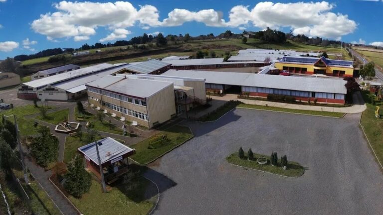 Apoderada denuncia negligencia del Liceo Industrial de La Unión ante agresiones a su hija