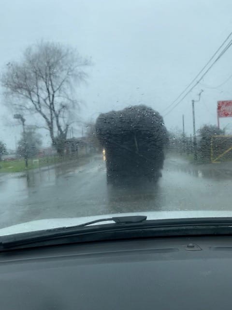 Denuncian posible transporte ilegal de turba en ruta hacia Chiloé