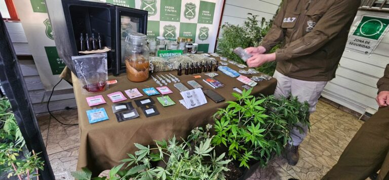 Dos detenidos en Lanco por cultivo y procesamiento de drogas