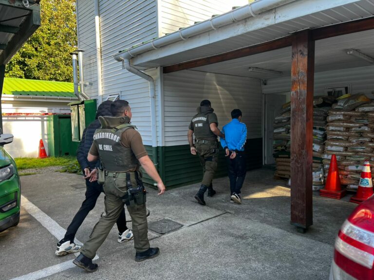 Carabineros de Niebla detuvieron a tres personas por robo de vehículo