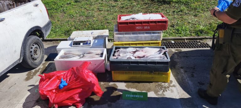 Carabineros detiene a hombre por transporte ilegal de merluza austral y congrio en La Unión