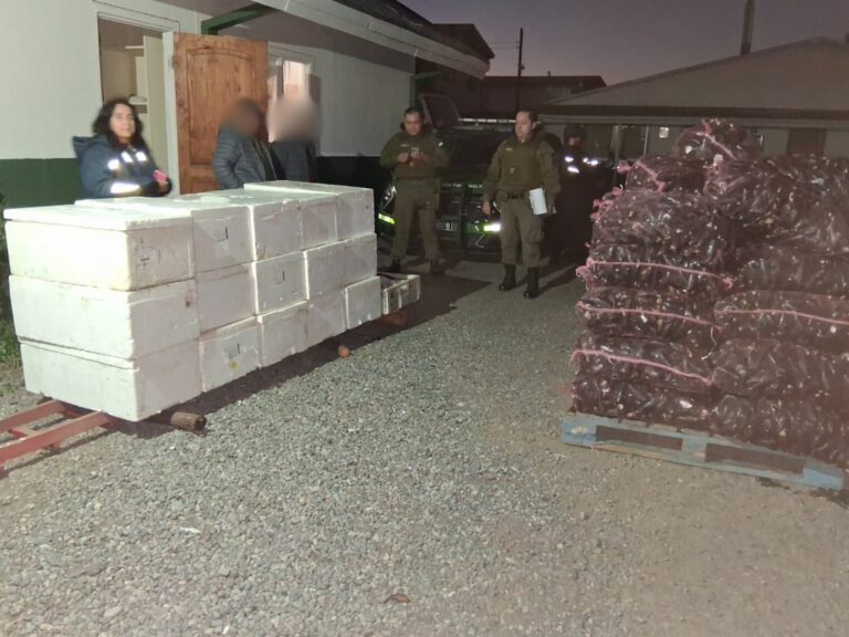 En control carretero sorprenden transporte ilegal de casi 4 toneladas de recursos del mar