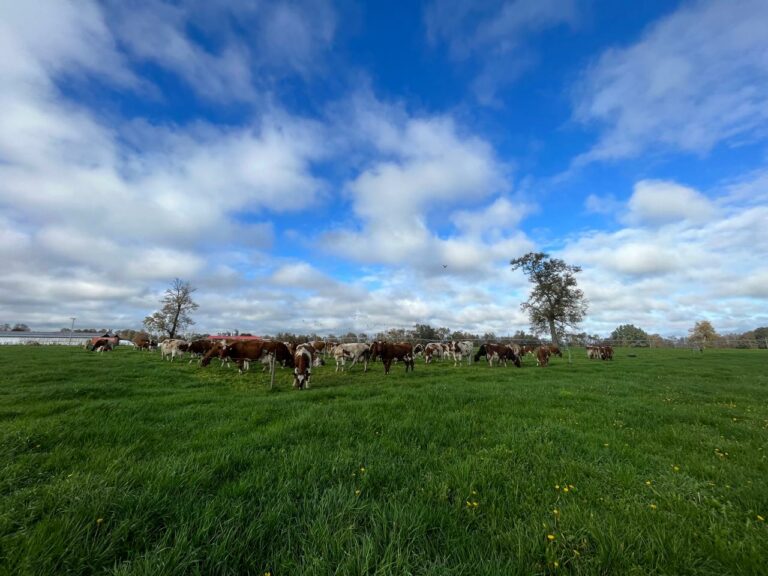 $6 mil millones para estudiar el suelo: ¿estamos investigando lo que el territorio ya está viviendo?