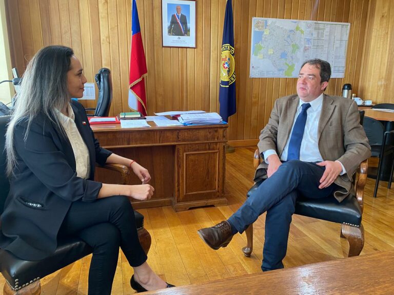 Gobierno aplaza alza en cuentas de la luz y entrega tranquilidad a las familias de Los Ríos