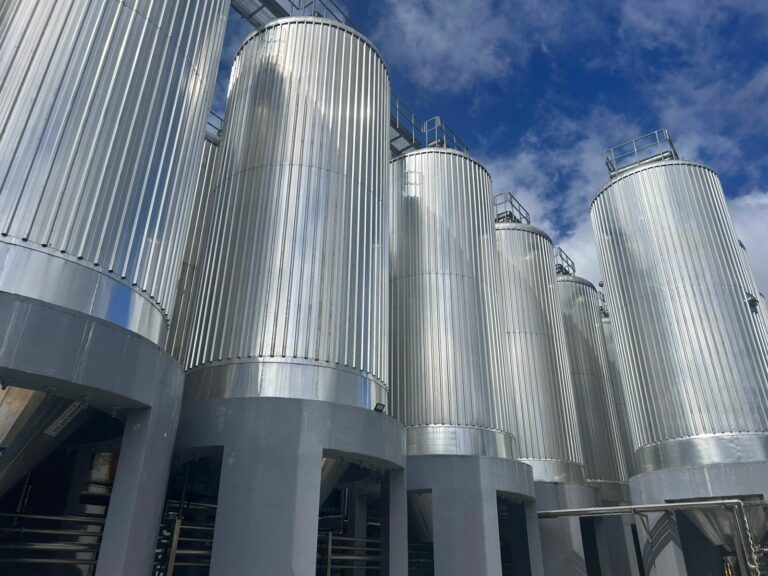 Cervecería Kunstmann y su modelo hídrico sin precedentes: devuelve el agua al río más limpia de la que toma