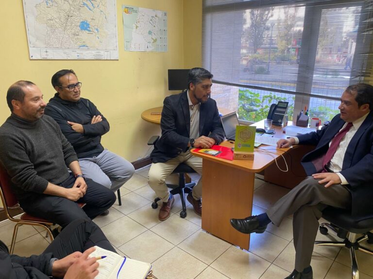La Unión, Futrono y Corral reciben Sello Comuna Energética en su quinta versión