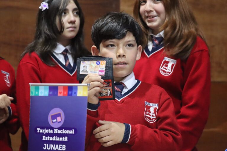 Revalidación de Tarjeta Nacional Estudiantil (TNE) alcanza un 34% de avance en Los Ríos