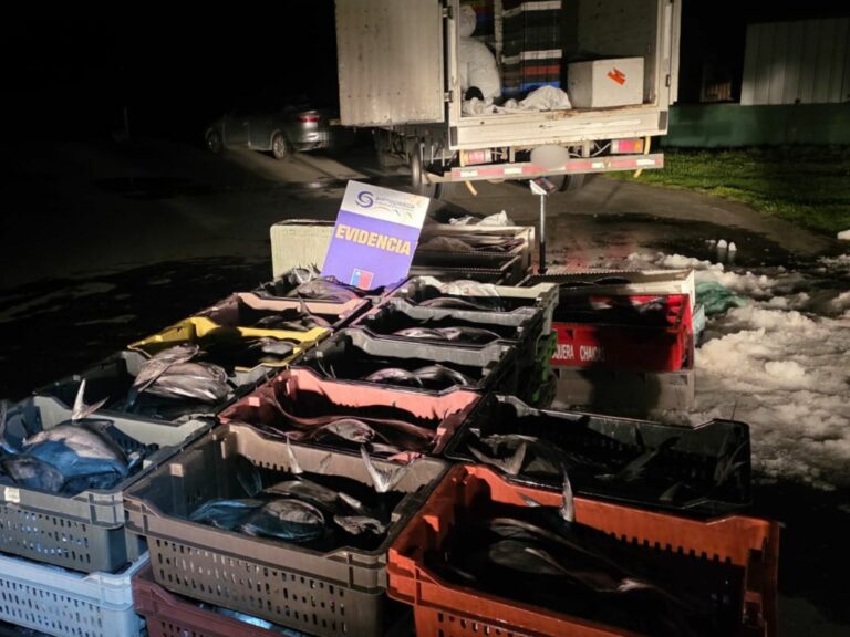 Más de una tonelada de recursos del mar incautados y un detenido dejó control carretero en la ruta 5