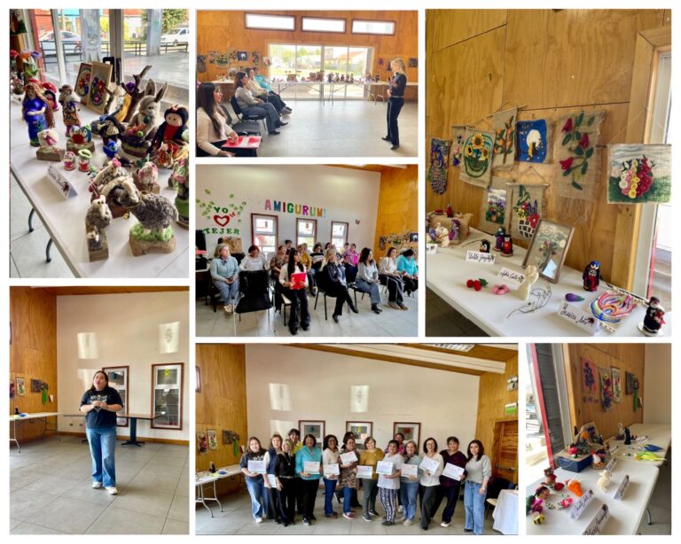 Con una emotiva certificación finalizó el taller “Manos que Pintan Vellón”