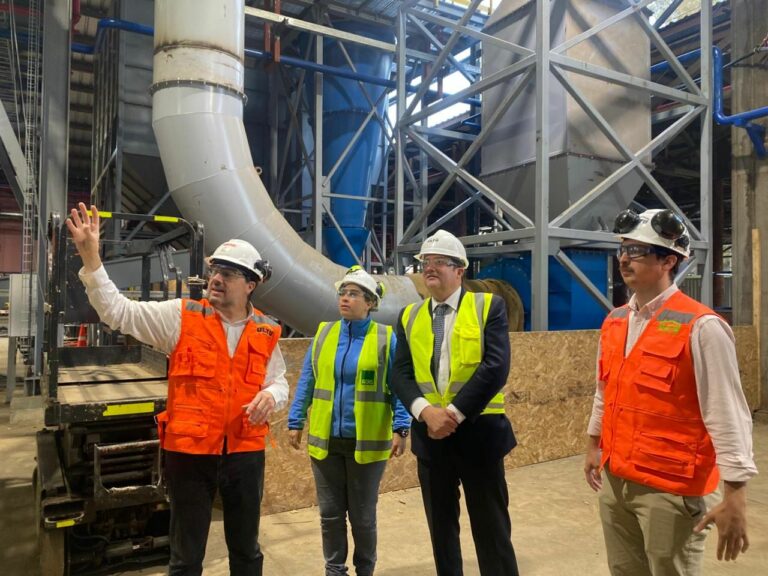 Destacan planta pionera a nivel nacional que producirá cerca de 100 mil toneladas de pellet en Los Ríos