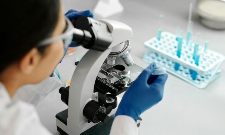 Tres iniciativas de Los Ríos se adjudicaron el programa StartUp Ciencia 2026 de MinCiencia