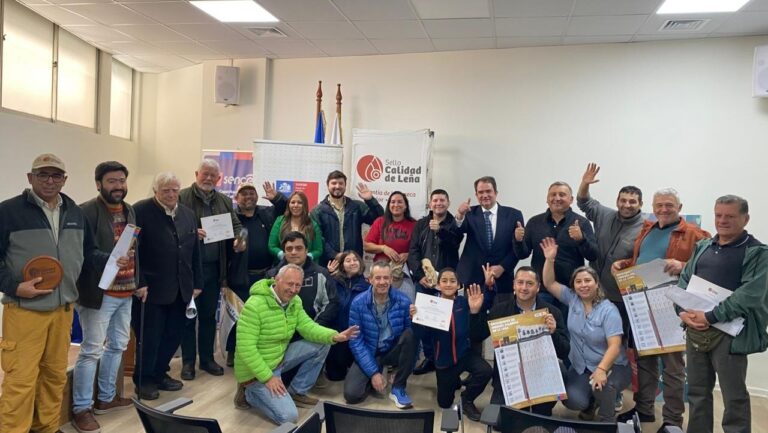 Entregan nuevos Sellos Calidad de Leña y reconocen a empresas con trayectoria en Los Ríos