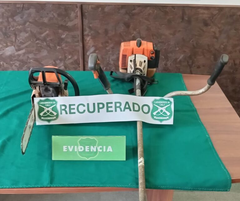Carabineros SIP La Unión detuvo a pareja por robo y receptación