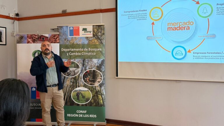 Mercado Madera fortalece comercialización forestal sostenible en Los Ríos