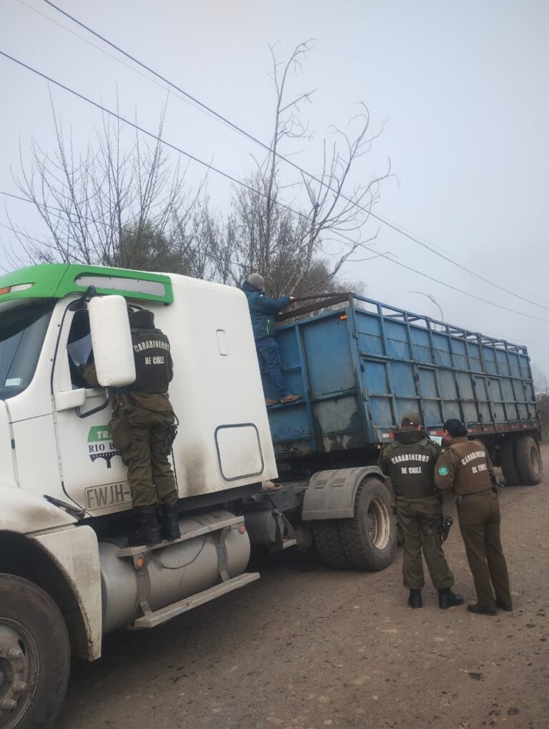 Patrulla de Intervención Rural del Ranco realizó fiscalizaciones en Río Bueno y La Unión junto al SAG