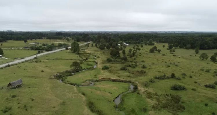 Lapidario rechazo internacional a estudio que cuestionó antigüedad de Monte Verde