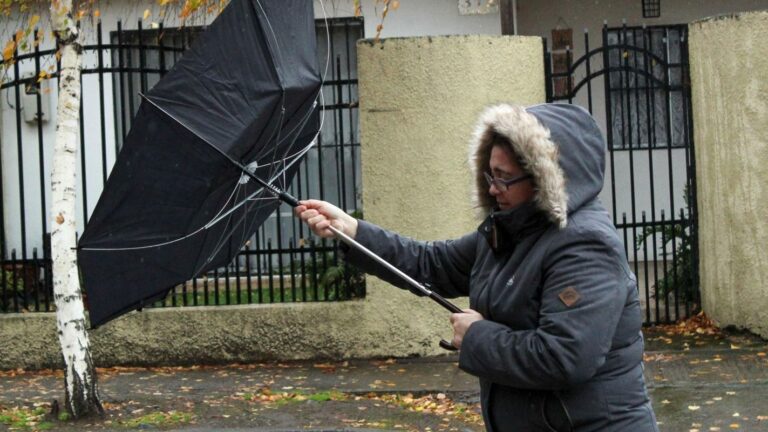 Actualización: DMC eleva intensidad del viento y pronostica rachas de hasta 100 km/h en la precordillera de Los Ríos