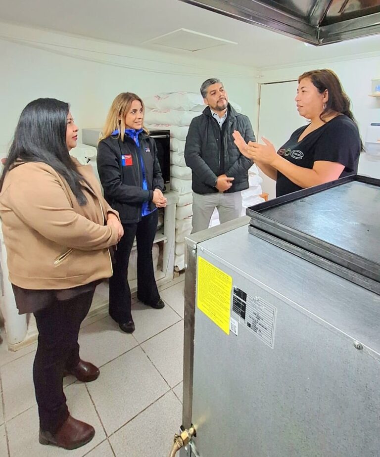FOSIS ejecutará $228 millones para apoyar a emprendedores y familias de Corral en 2026