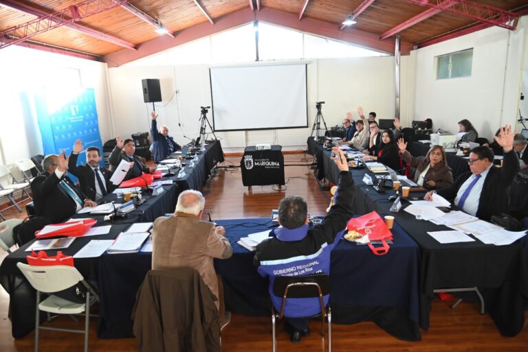 Consejo Regional Los Ríos fortalece cobertura del Servicio de Protección Mejor Niñez Los Ríos mediante adquisición de vehículo 