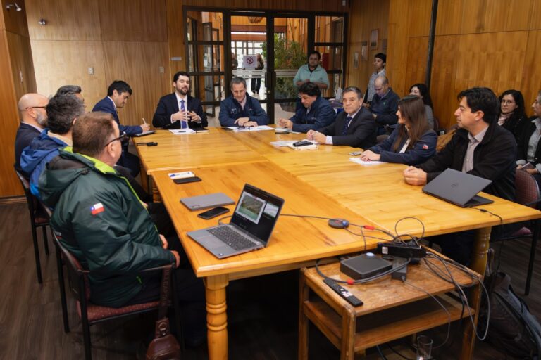 Subsecretario de Agricultura destaca aportes de INFOR al desarrollo forestal del país