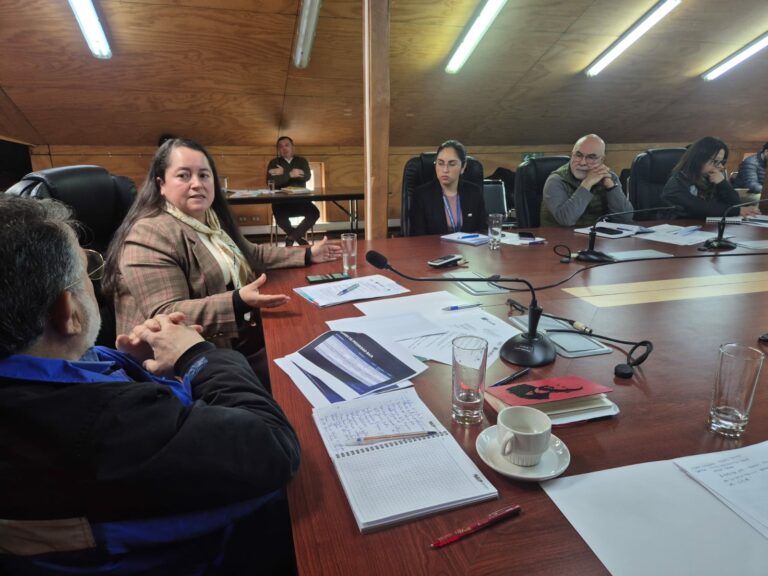 Consejo Regional de Capacitación aprueba Plan Regional de Capacitación 2026 para Los Ríos