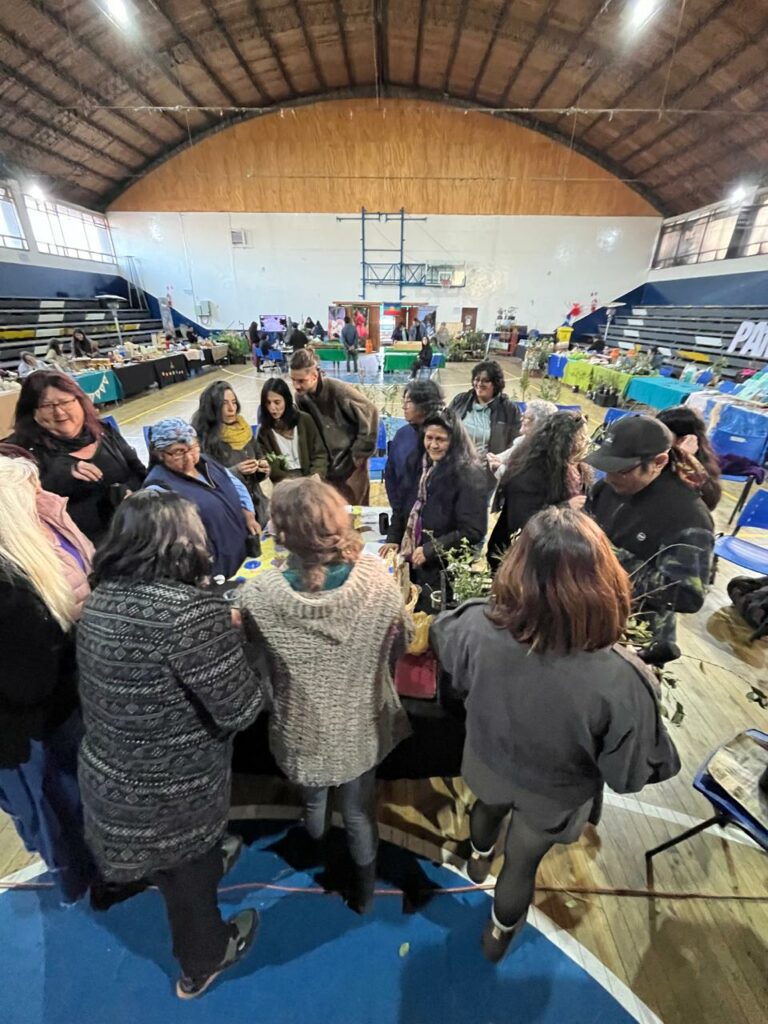 8° Encuentro Frutos del Bosque destacó iniciativas de defensa del territorio y saberes ancestrales en Panguipulli