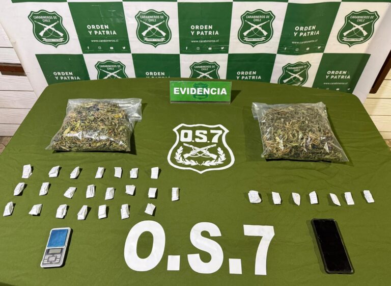 Carabineros OS7 Valdivia detuvo a sujeto por tráfico de drogas e incautó más de 870 dosis de marihuana