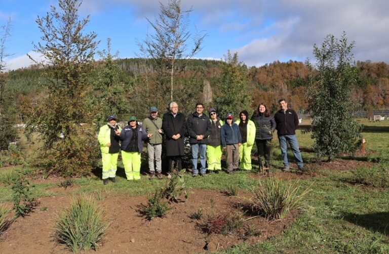 Creación y conservación de Parque Urbano en Malalhue, gracias a Programa de Emergencia de Empleo de CONAF