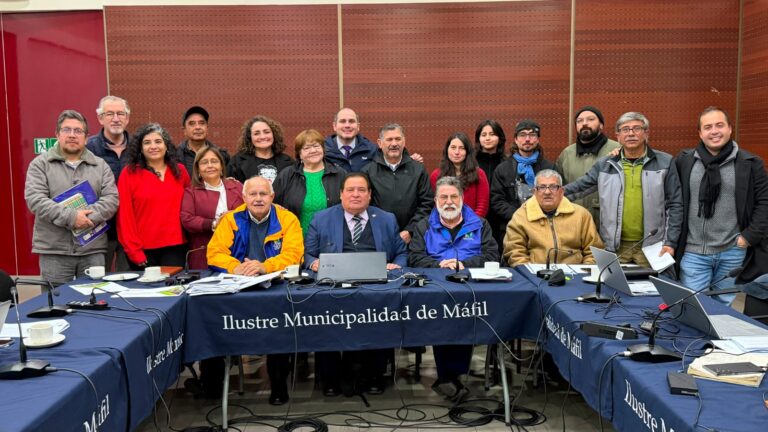 GORE aprobó $187 millones para iniciativas culturales, deportivas, sociales y medioambientales en la región