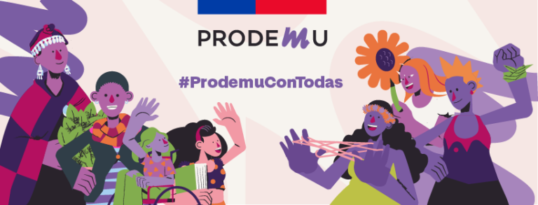 Incertidumbre ante eventual cierre de la dirección provincial de Prodemu en La Unión
