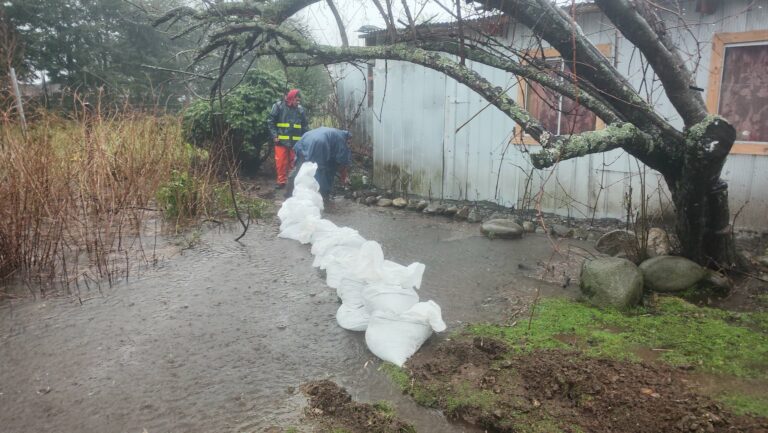 SENAPRED mantiene Alerta Roja solo para Futrono tras mejora de condiciones en Valdivia