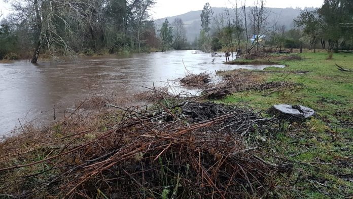 Se declara Alerta Amarilla para Lanco y Mariquina por crecida del río Leufucade