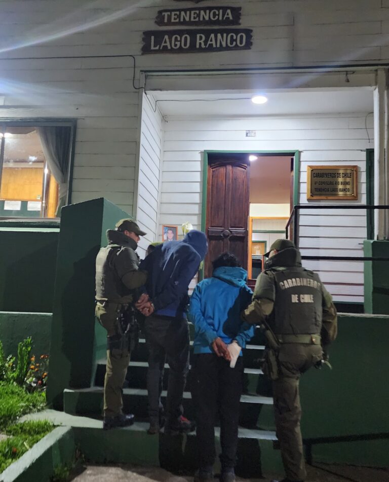Carabineros detuvo a dos sujetos por robo de bicicleta con violencia en Lago Ranco