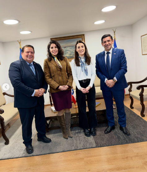 Advierten problemas en el ex DAEM y terrenos que estarían frenando proyectos en Los Lagos