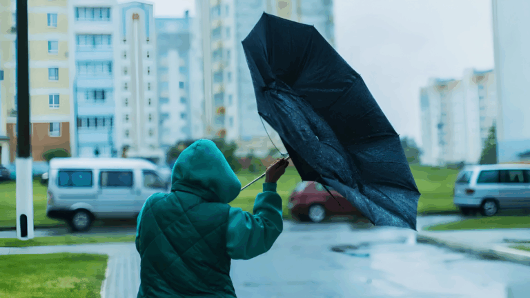 SENAPRED declara Alerta Temprana Preventiva para Los Ríos por pronóstico de viento