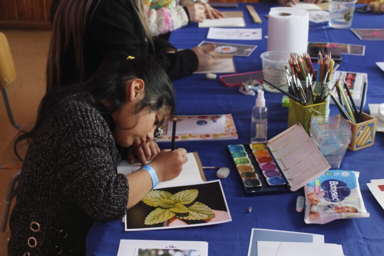 PPL Los Ríos impulsó el primer Festival de Invierno en Crucero